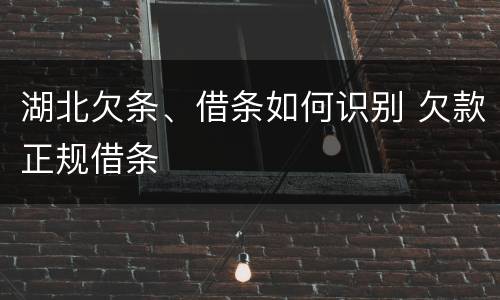 湖北欠条、借条如何识别 欠款正规借条