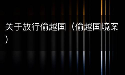 关于放行偷越国（偷越国境案）