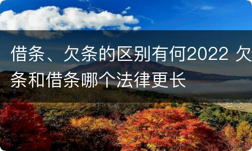 借条、欠条的区别有何2022 欠条和借条哪个法律更长