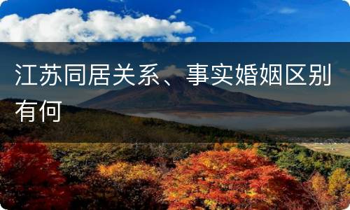 江苏同居关系、事实婚姻区别有何