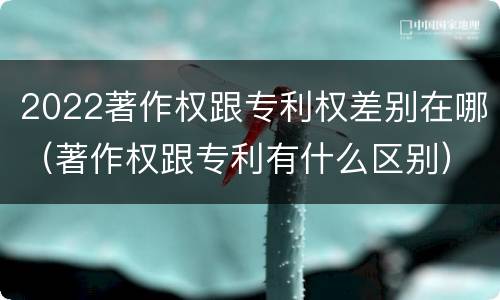 2022著作权跟专利权差别在哪（著作权跟专利有什么区别）