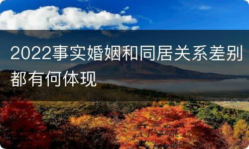 2022事实婚姻和同居关系差别都有何体现