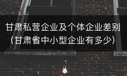 甘肃私营企业及个体企业差别（甘肃省中小型企业有多少）
