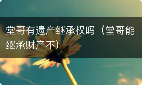 堂哥有遗产继承权吗（堂哥能继承财产不）