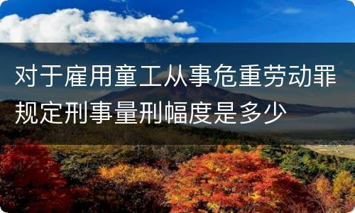 对于雇用童工从事危重劳动罪规定刑事量刑幅度是多少