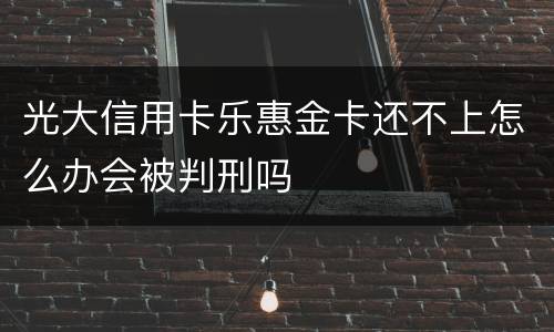 光大信用卡乐惠金卡还不上怎么办会被判刑吗