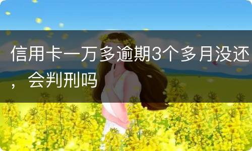 信用卡一万多逾期3个多月没还，会判刑吗