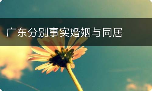 广东分别事实婚姻与同居
