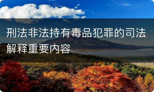 刑法非法持有毒品犯罪的司法解释重要内容
