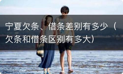 宁夏欠条、借条差别有多少（欠条和借条区别有多大）