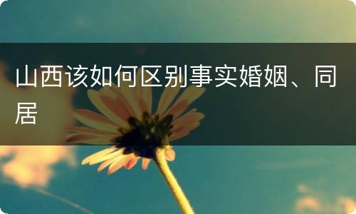 山西该如何区别事实婚姻、同居