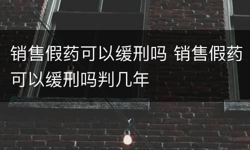 销售假药可以缓刑吗 销售假药可以缓刑吗判几年