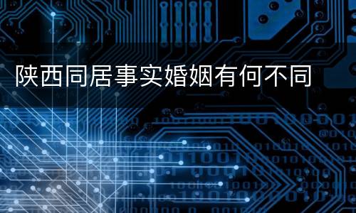 陕西同居事实婚姻有何不同