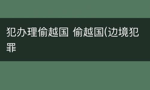 犯办理偷越国 偷越国(边境犯罪