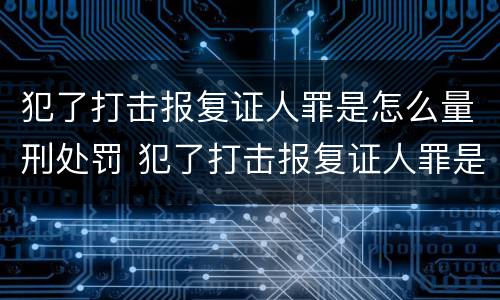 犯了打击报复证人罪是怎么量刑处罚 犯了打击报复证人罪是怎么量刑处罚的