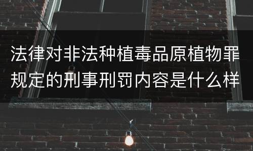 法律对非法种植毒品原植物罪规定的刑事刑罚内容是什么样的
