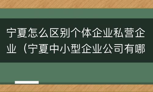 宁夏怎么区别个体企业私营企业（宁夏中小型企业公司有哪些）