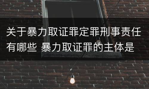 关于暴力取证罪定罪刑事责任有哪些 暴力取证罪的主体是