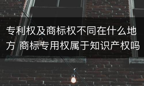 专利权及商标权不同在什么地方 商标专用权属于知识产权吗?