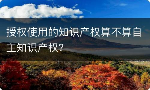 授权使用的知识产权算不算自主知识产权？
