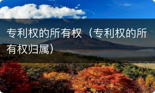 专利权的所有权（专利权的所有权归属）