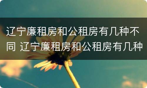 辽宁廉租房和公租房有几种不同 辽宁廉租房和公租房有几种不同吗