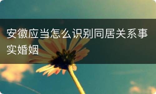 安徽应当怎么识别同居关系事实婚姻
