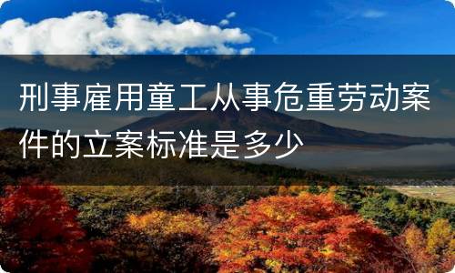 刑事雇用童工从事危重劳动案件的立案标准是多少