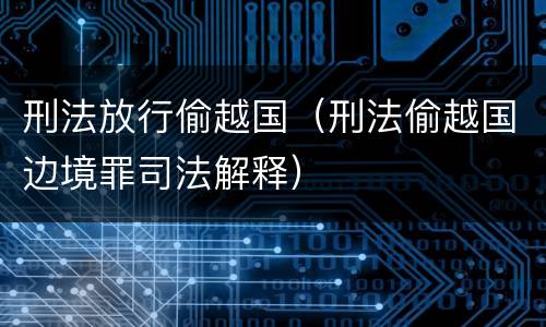 刑法放行偷越国（刑法偷越国边境罪司法解释）