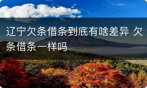 辽宁欠条借条到底有啥差异 欠条借条一样吗