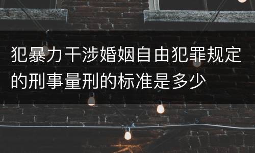 犯暴力干涉婚姻自由犯罪规定的刑事量刑的标准是多少