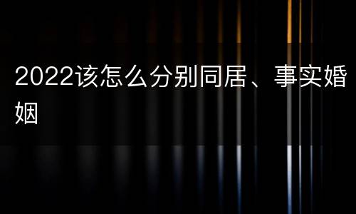 2022该怎么分别同居、事实婚姻