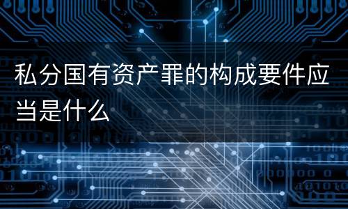 私分国有资产罪的构成要件应当是什么