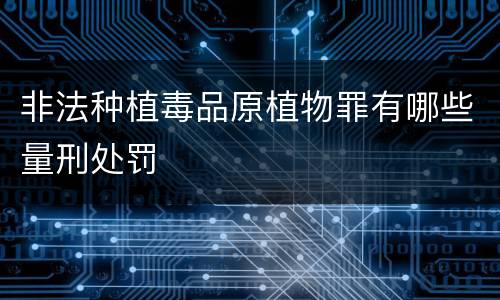 非法种植毒品原植物罪有哪些量刑处罚