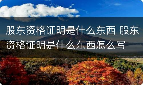 股东资格证明是什么东西 股东资格证明是什么东西怎么写