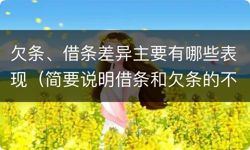 欠条、借条差异主要有哪些表现（简要说明借条和欠条的不同之处）