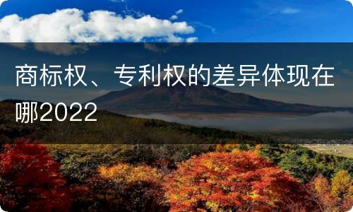 商标权、专利权的差异体现在哪2022