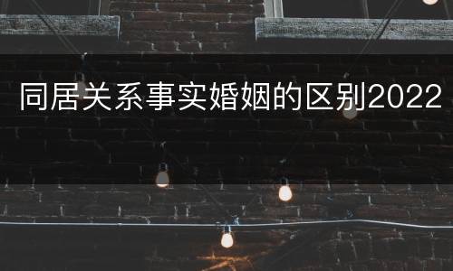 同居关系事实婚姻的区别2022