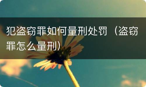 犯盗窃罪如何量刑处罚（盗窃罪怎么量刑）