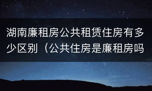 湖南廉租房公共租赁住房有多少区别（公共住房是廉租房吗）