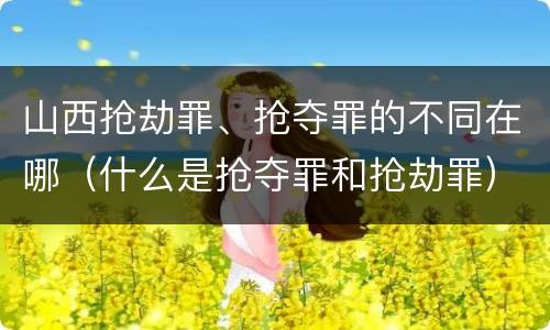 山西抢劫罪、抢夺罪的不同在哪（什么是抢夺罪和抢劫罪）