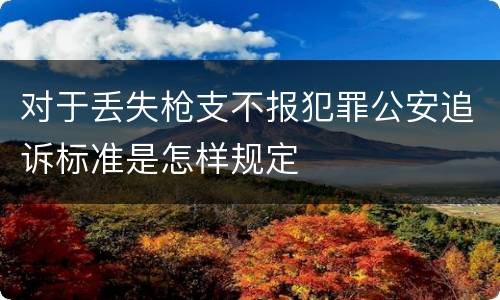 对于丢失枪支不报犯罪公安追诉标准是怎样规定
