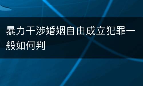 暴力干涉婚姻自由成立犯罪一般如何判