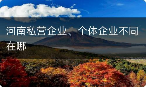 河南私营企业、个体企业不同在哪