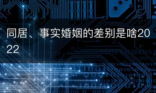 同居、事实婚姻的差别是啥2022