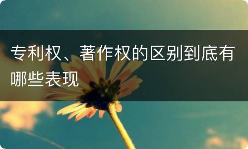 专利权、著作权的区别到底有哪些表现