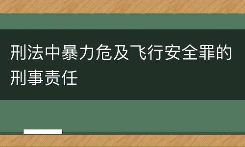 刑法中暴力危及飞行安全罪的刑事责任