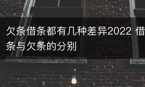 欠条借条都有几种差异2022 借条与欠条的分别