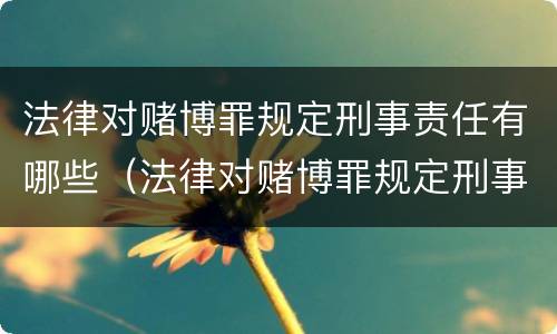 法律对赌博罪规定刑事责任有哪些（法律对赌博罪规定刑事责任有哪些）
