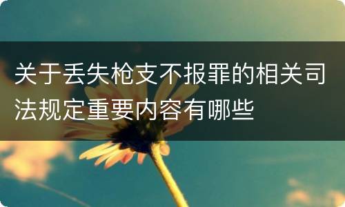 关于丢失枪支不报罪的相关司法规定重要内容有哪些